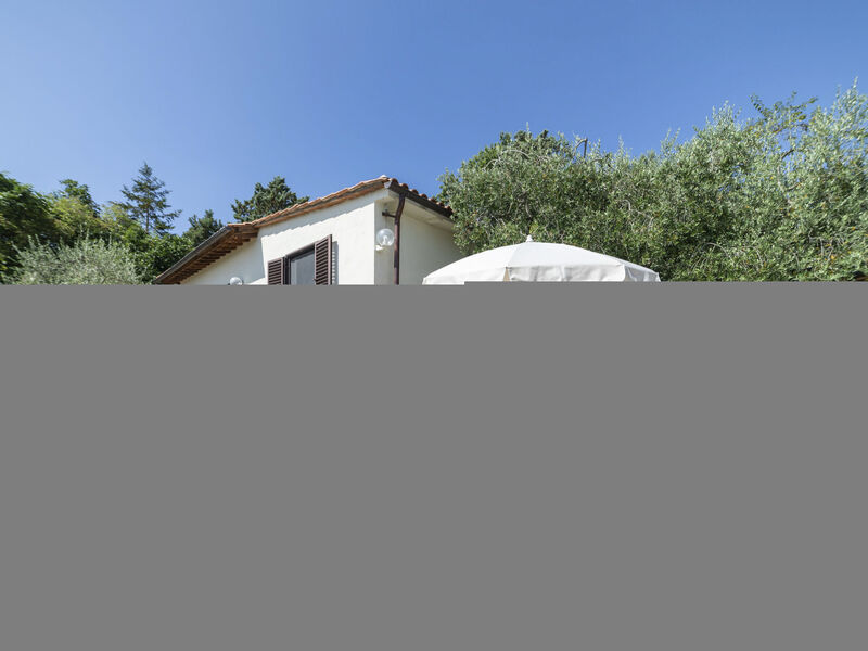 Olivo
