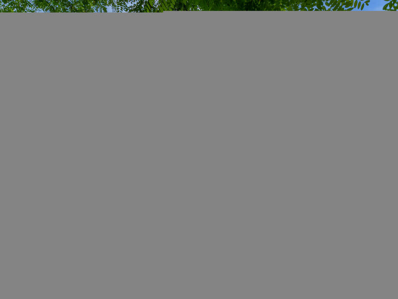 La Moraia
