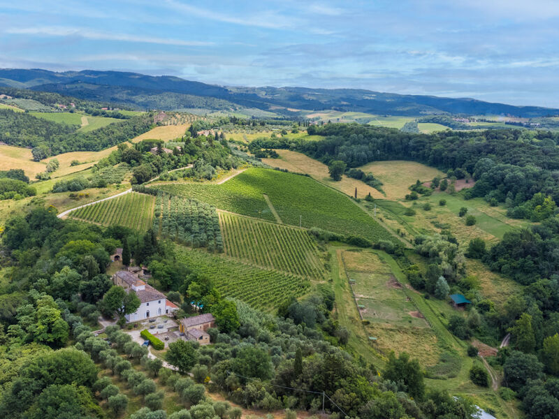 La Moraia