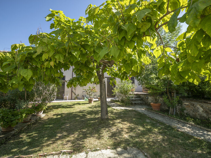 Vedi Torre
