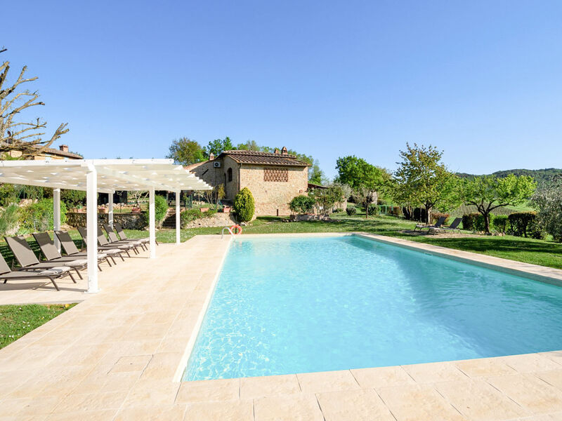 Vineyard View