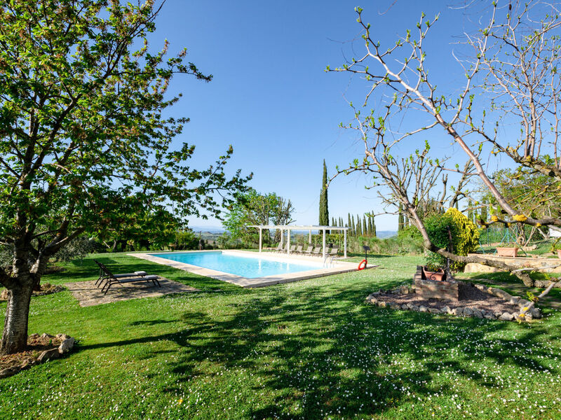 Vineyard View