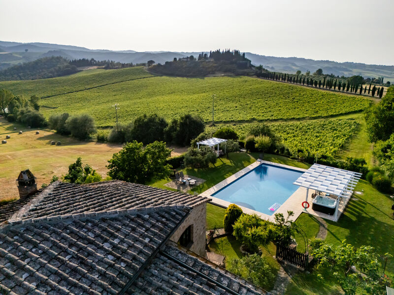 Vineyard View