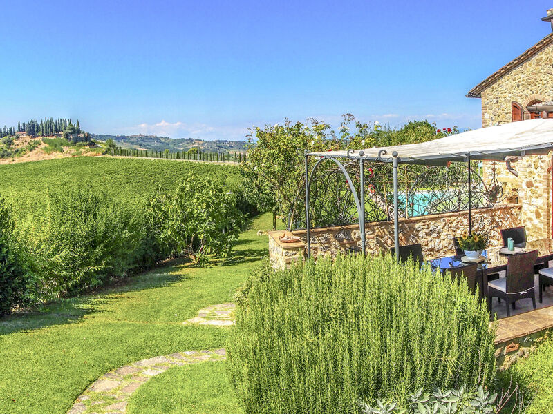 Vineyard View