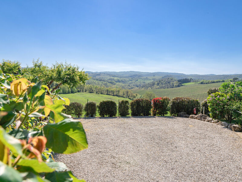 Vineyard View