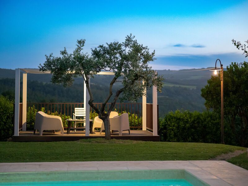 Vineyard View