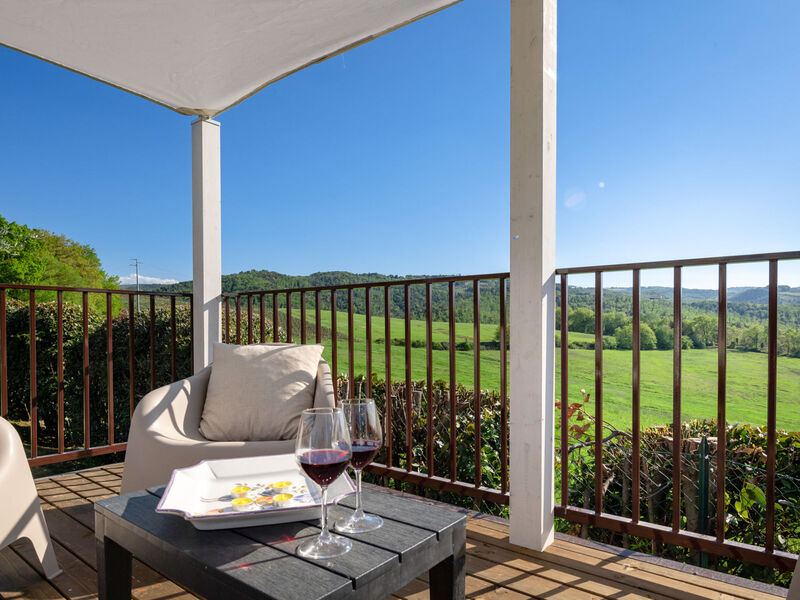 Vineyard View