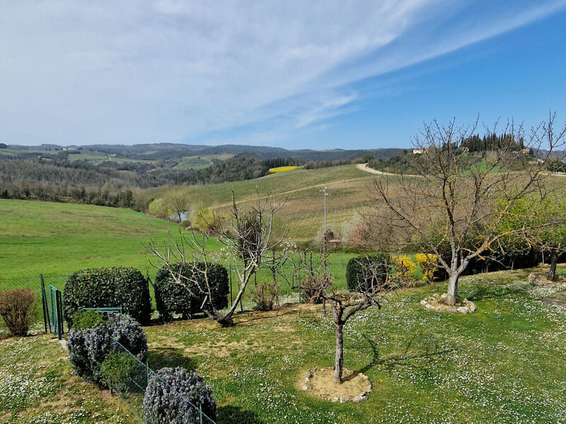 Vineyard View