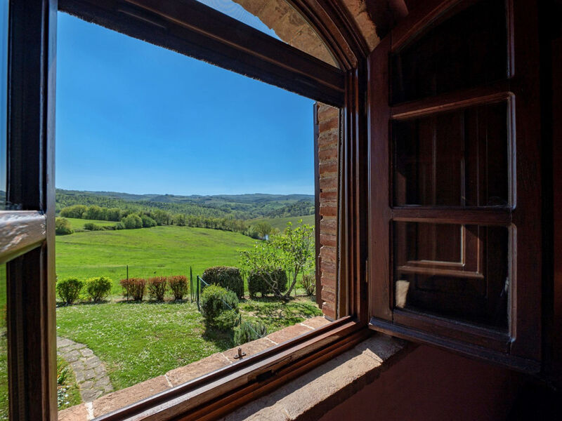 Vineyard View