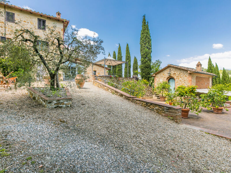 Il Sangiovese