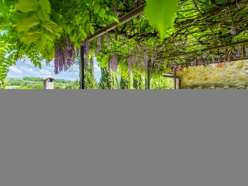 Il Sangiovese