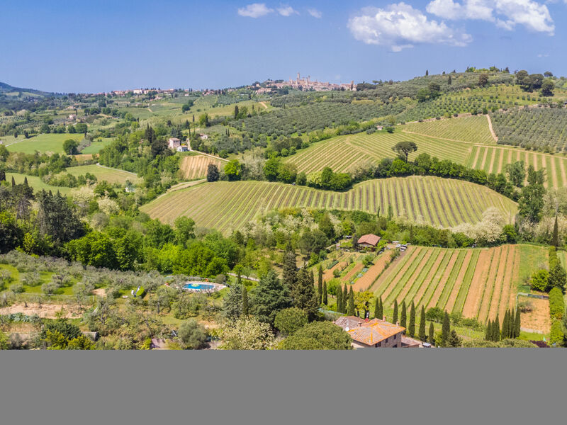 Il Sangiovese