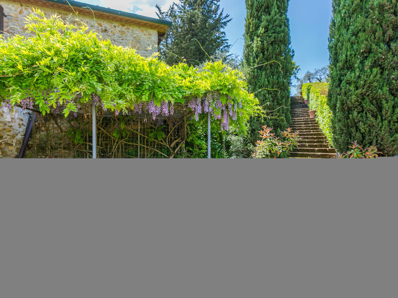 Il Sangiovese