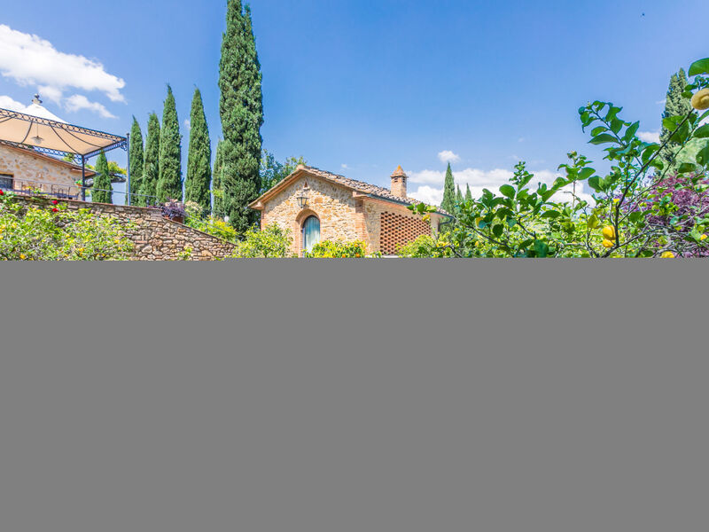 Il Sangiovese