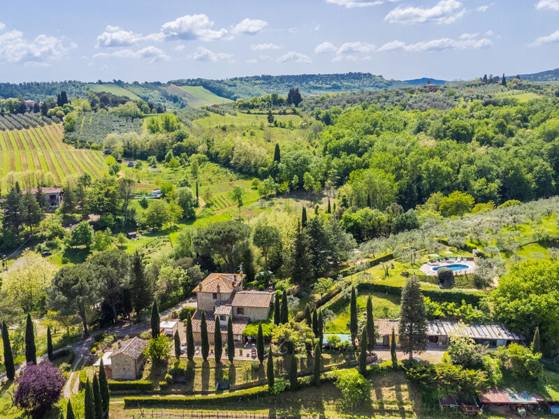 Il Sangiovese