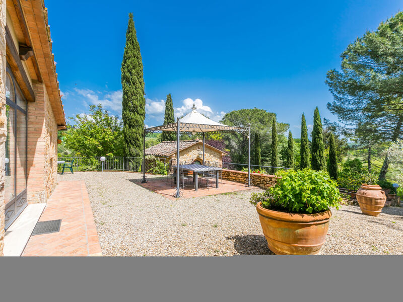 Il Sangiovese
