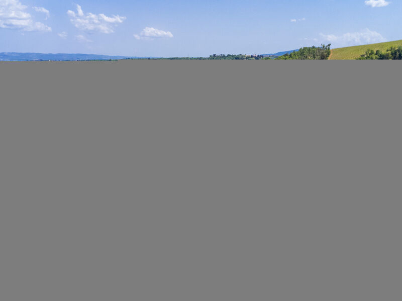 Il Sangiovese