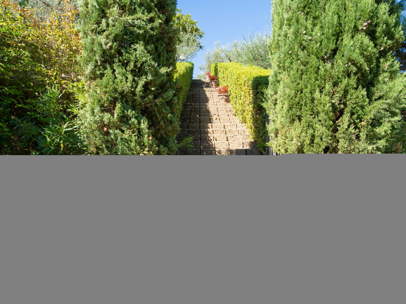 Il Sangiovese