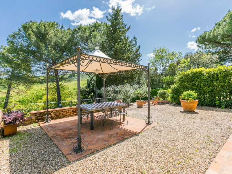 Il Sangiovese