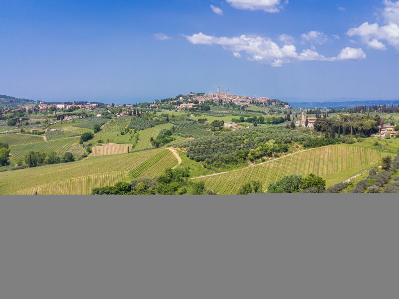 Il Sangiovese