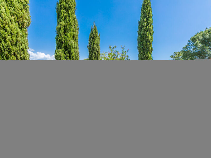 Il Sangiovese