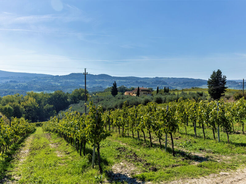 Podere San Michele