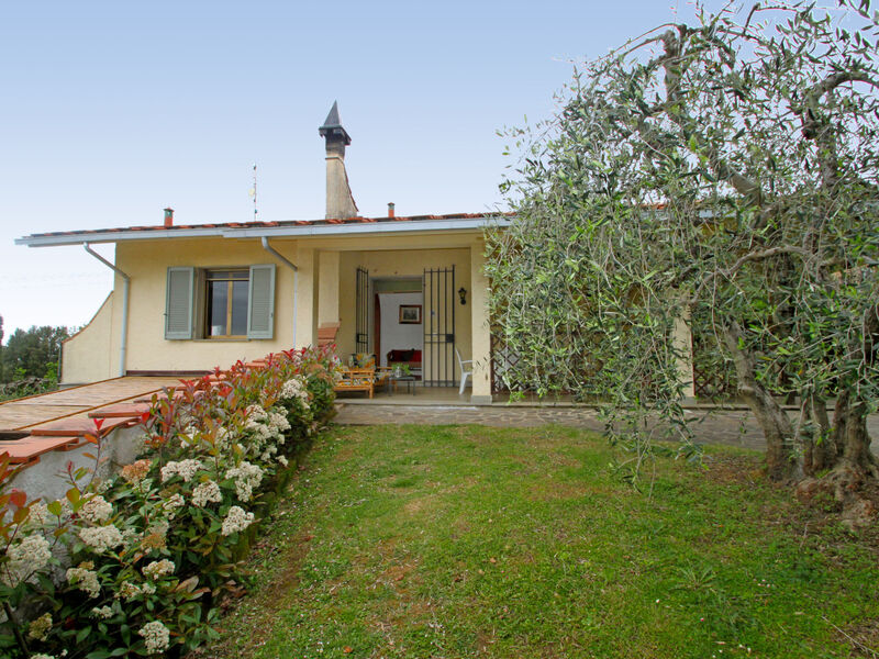 La Salamandra