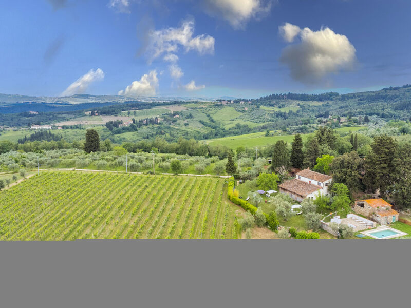 Mangiatoia