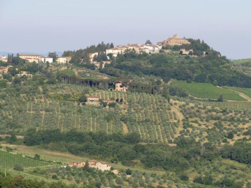 l'Alto grosses Haus