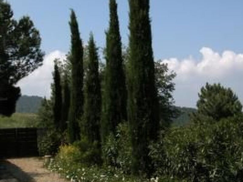 Podere Campolungo - Lo Studio
