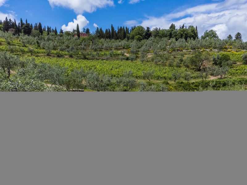 Agriturismo San Rocco