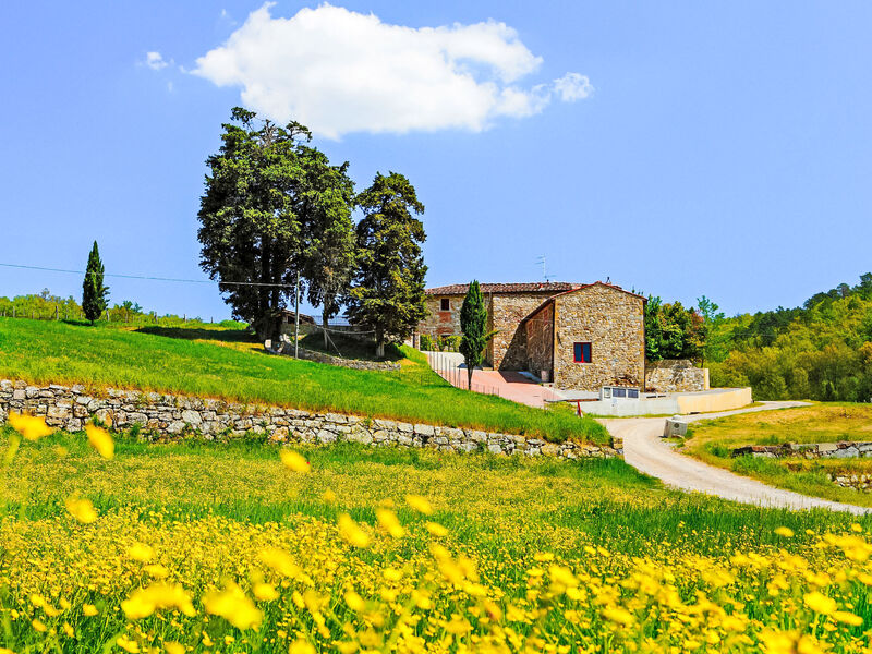 Locazione Turistica Selvapiana