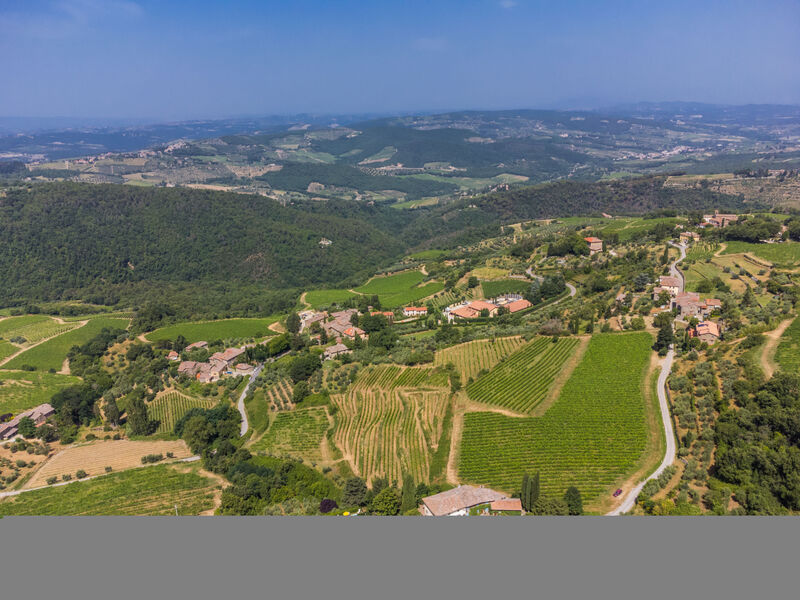 Ridaldi