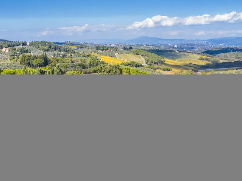 Al Canaiolo
