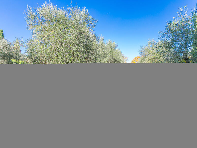 Al Canaiolo