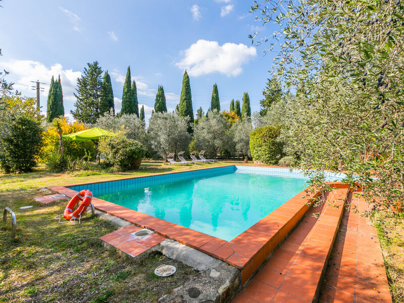 Al Canaiolo