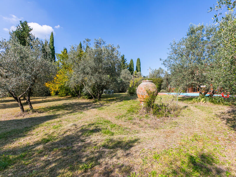 Al Canaiolo