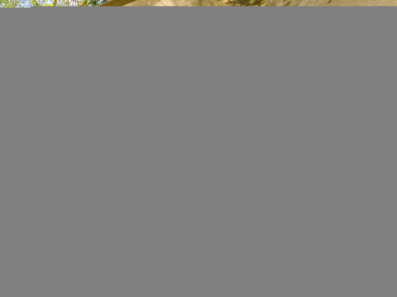 Vila il Giglio