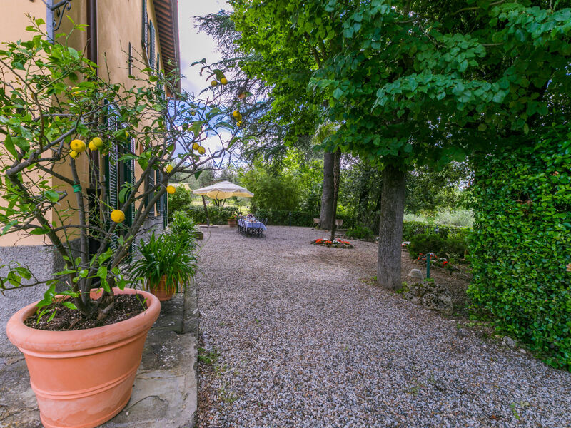 Vila il Giglio