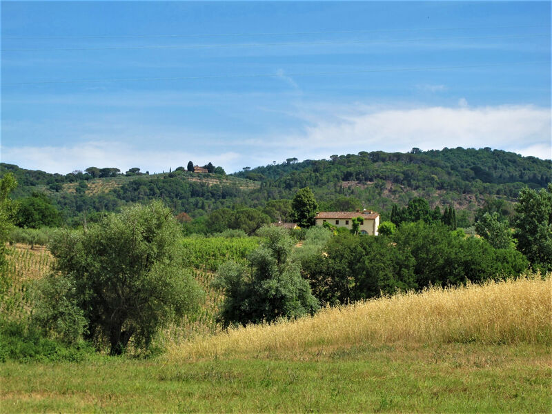 Vila Magna