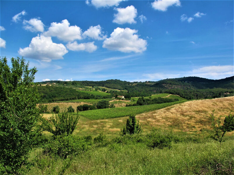 Vila Magna