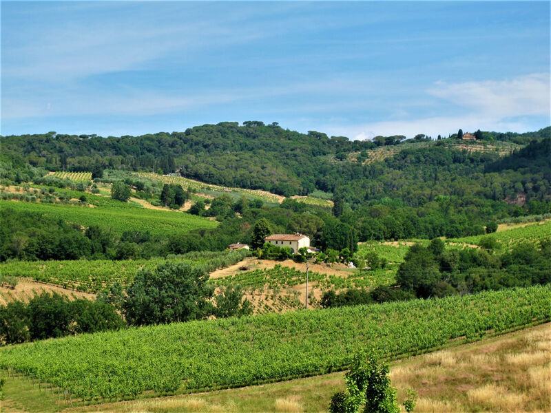 Vila Magna
