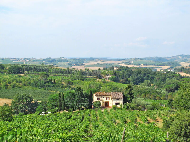 Vila Magna