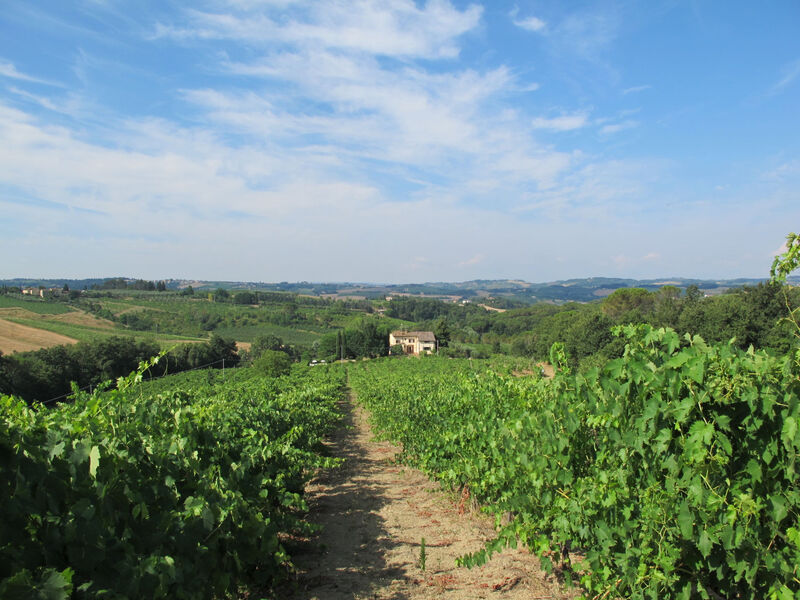 Vila Magna + Dependance