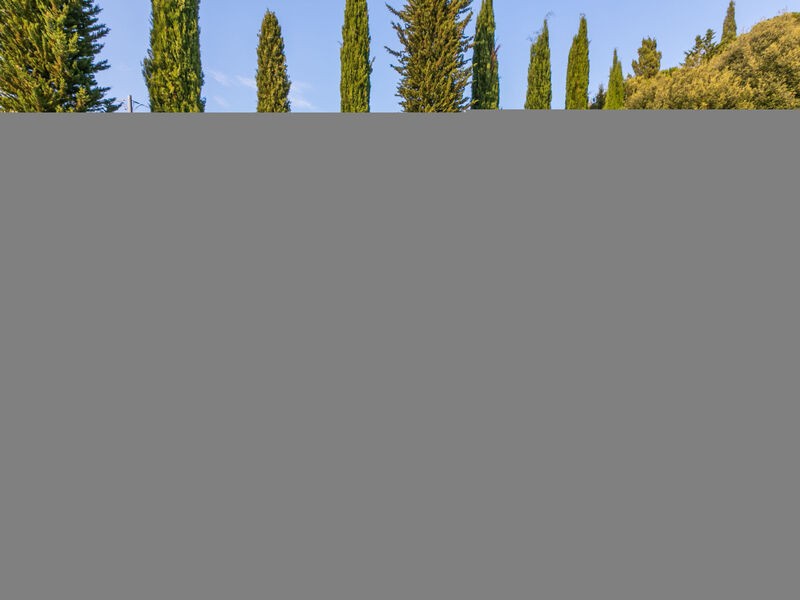 Il Giuggiolo