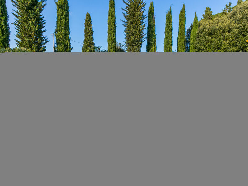 Il Giuggiolo
