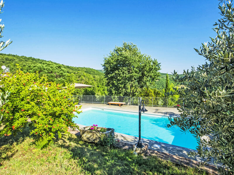 Posticcia Vecchia