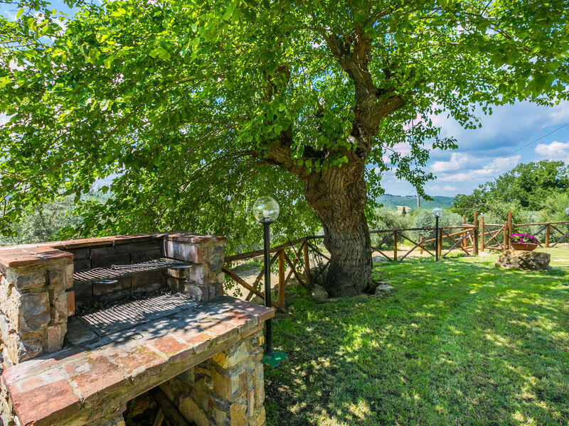 La Querciolaia