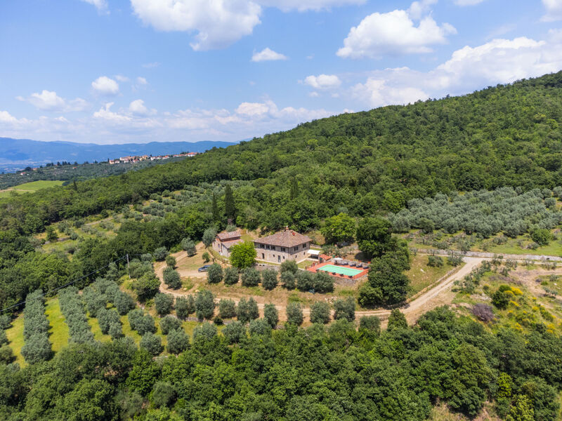 La Querciolaia