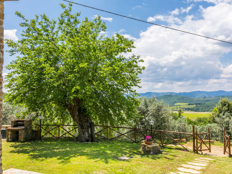 La Querciolaia